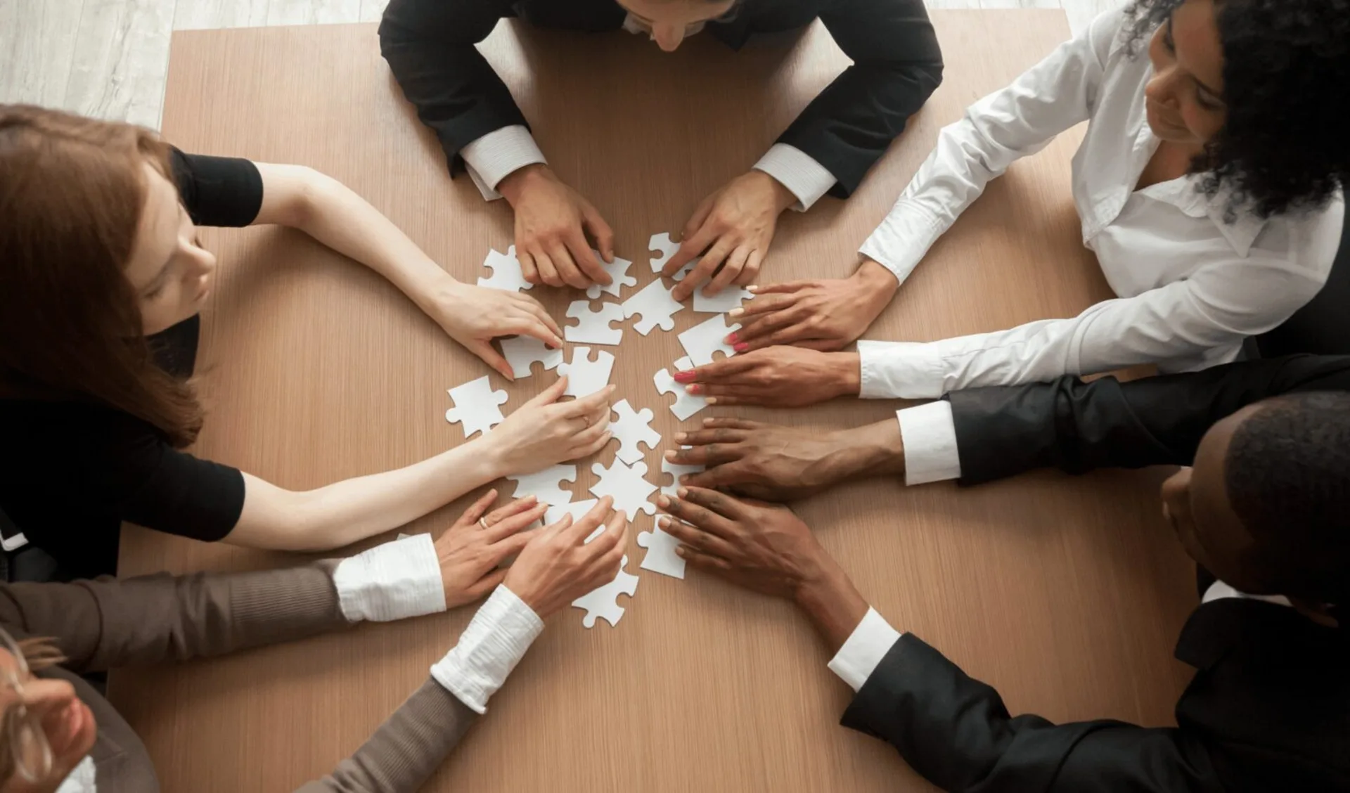 A diverse team collaborates by connecting puzzle pieces, representing our commitment to vet compliance and quality assurance.